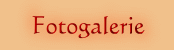 Fotogalerie1
